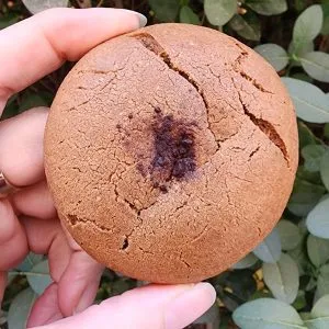 اَبَرکوکی مغزدار پروتئینی