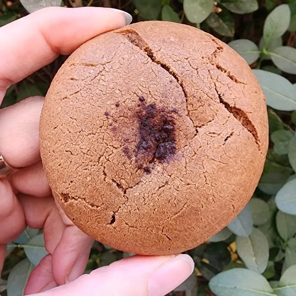 اَبَرکوکی مغزدار پروتئینی