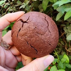 اَبَرکوکی مغزدار پروتئینی