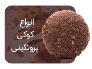 انواع کوکی پروتئینی