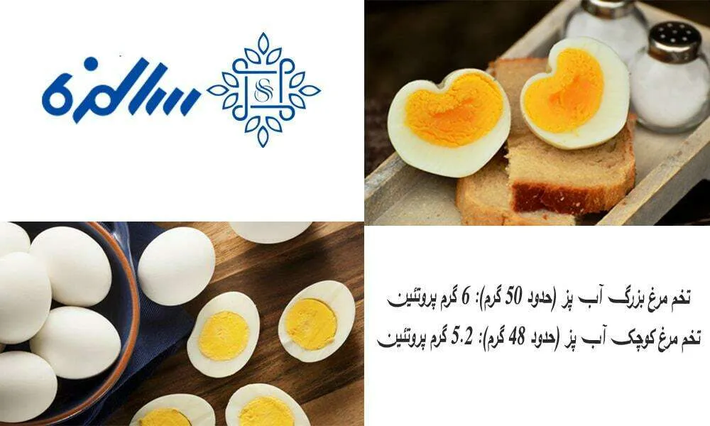میزان پروتئین تخم مرغ