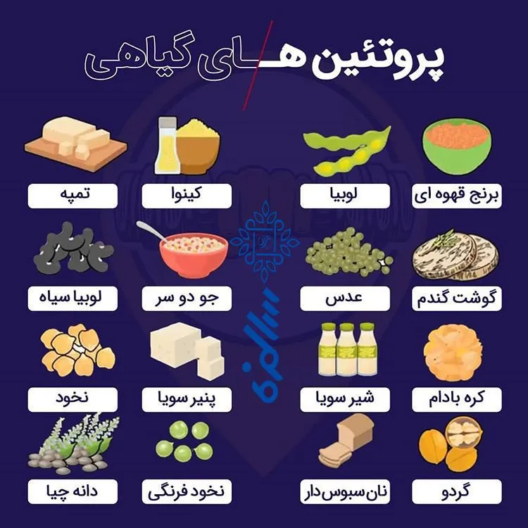 پروتئین بار گیاهی یا حیوانی