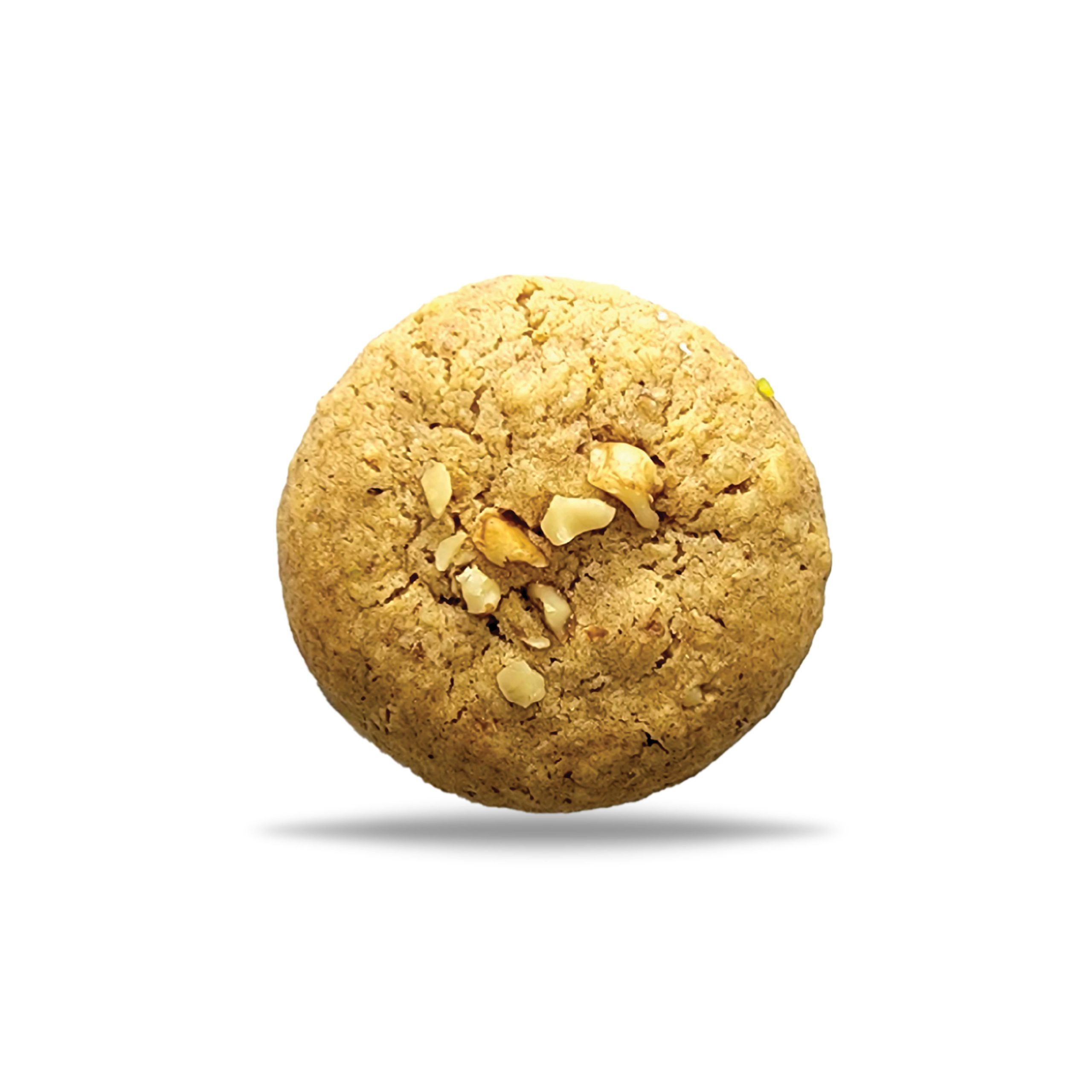 گردو سفید کوکی پروتئینی گردویی - Image 1