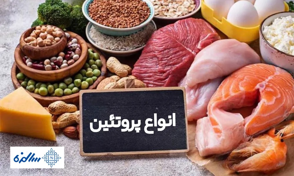 انواع پروتئین و کاربرد های آن