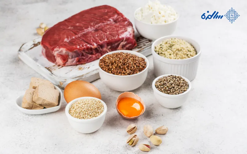 خواص پروتئین برای بدن