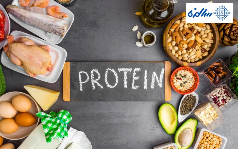 کاربرد های پروتئین برای افراد مختلف