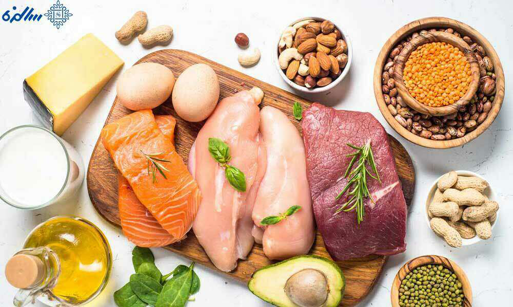 معرفی میان وعده پروتئینی برای بدنسازان