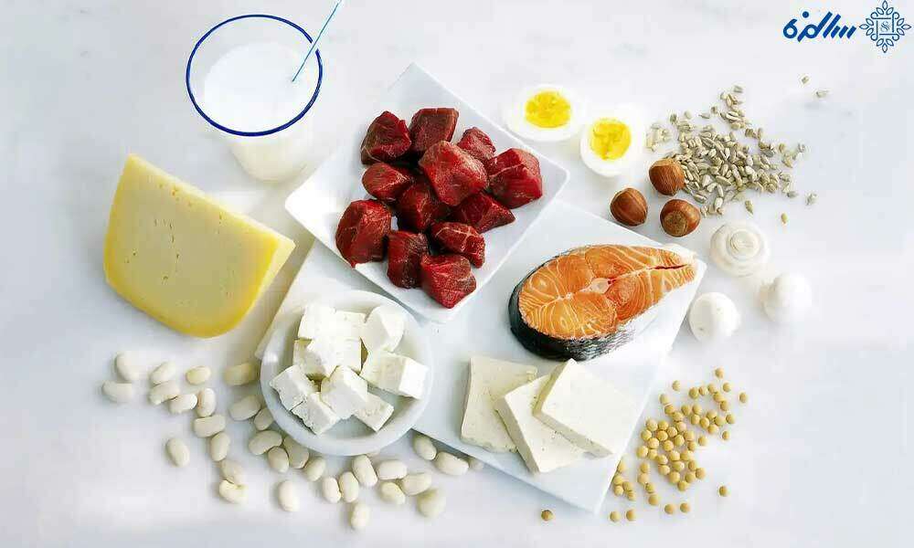 پروتئین گیاهی