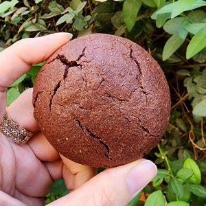 اَبَرکوکی مغزدار پروتئینی - Image 4