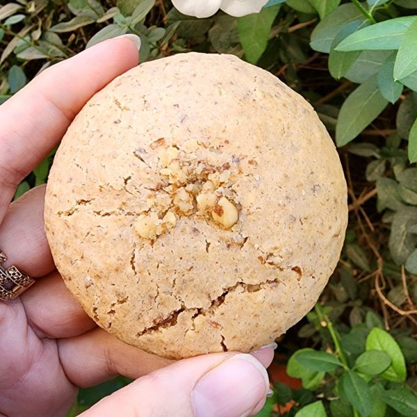 اَبَرکوکی مغزدار پروتئینی