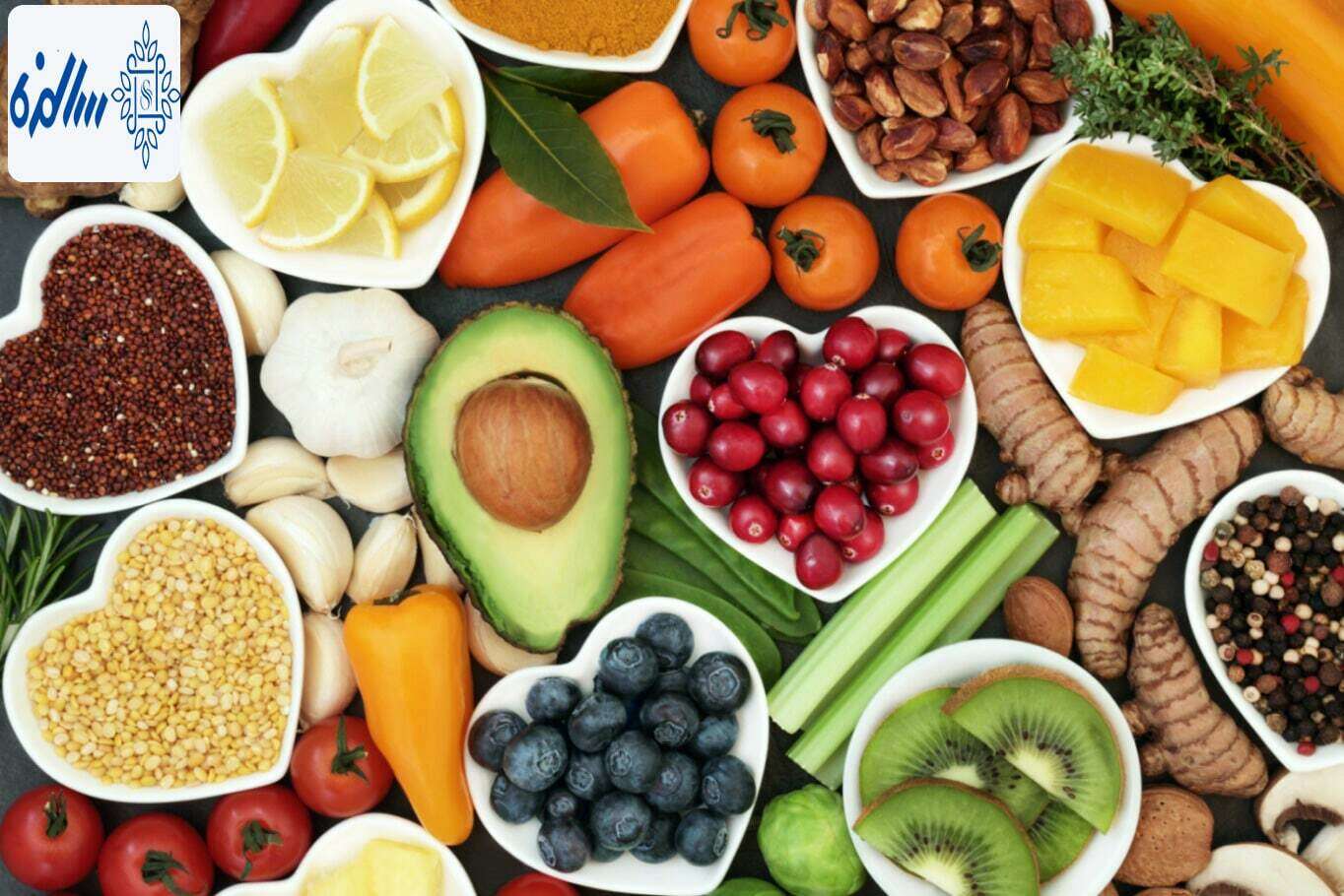 بررسی 10 اصل تغذیه سالم و اهمیت آن