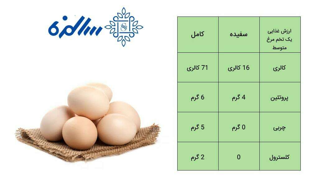 میزان پروتئین تخم مرغ
