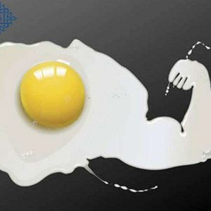 میزان پروتئین تخم مرغ