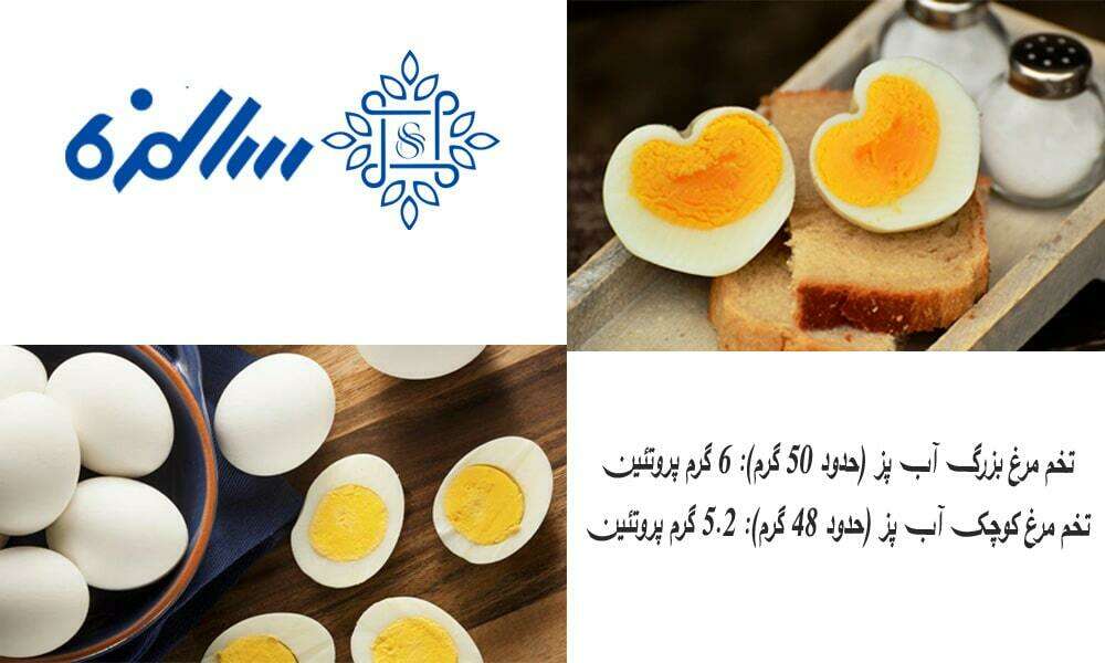 میزان پروتئین تخم مرغ