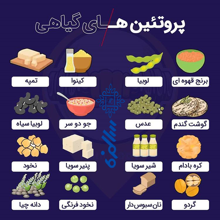 پروتئین بار گیاهی یا حیوانی