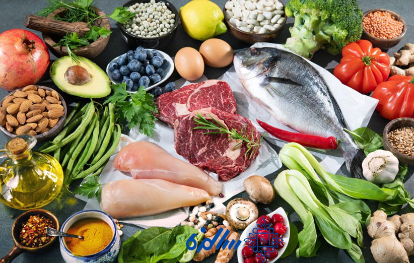 پروتئین بار گیاهی یا حیوانی