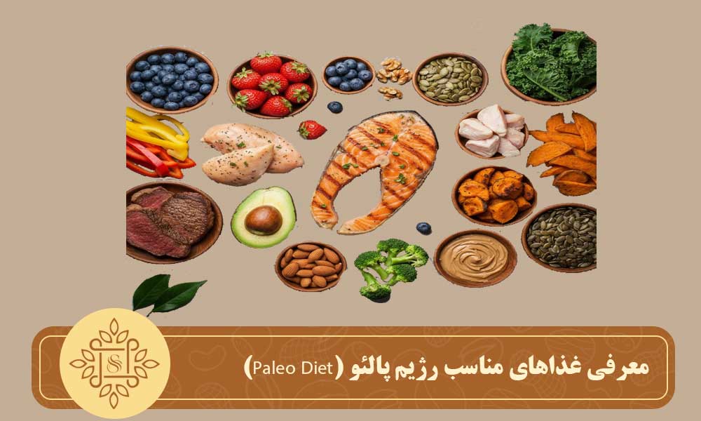 معرفی غذاهای مناسب رژیم پالئو (Paleo Diet)